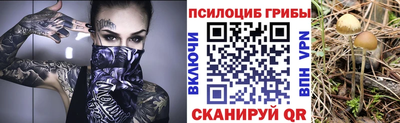 Псилоцибиновые грибы Cubensis  Козловка 